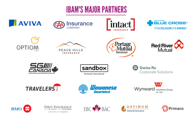IBAM_Major_Partners_2024_7_.png