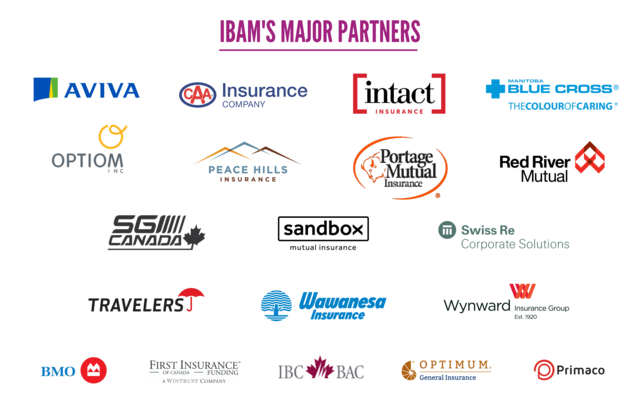 IBAM_Major_Partners_Updated_Jan_31_5_.png