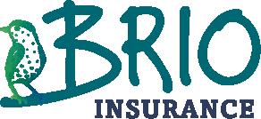 4color_brio_hz.png
